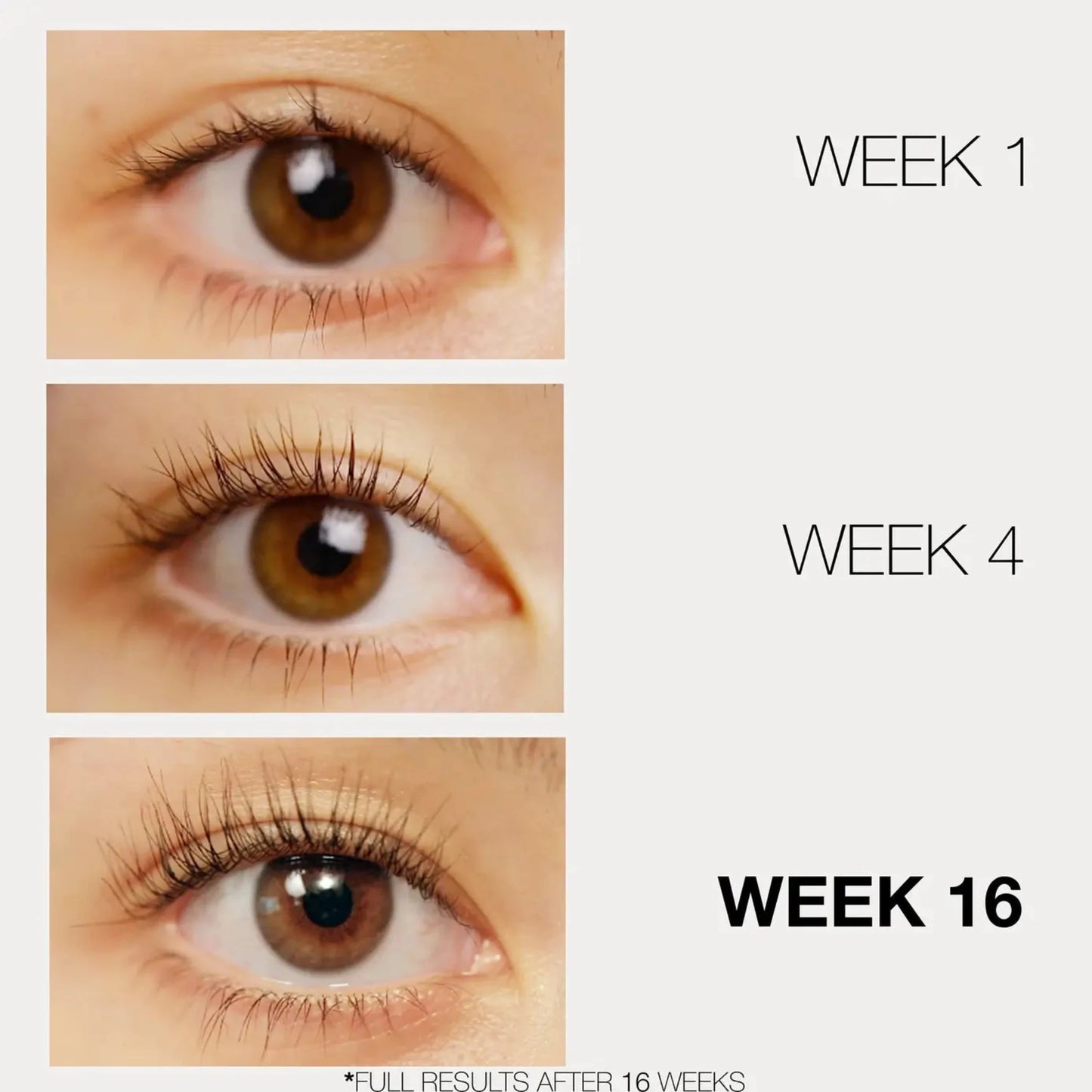 LASHFOO Eyelash Serum Before and After