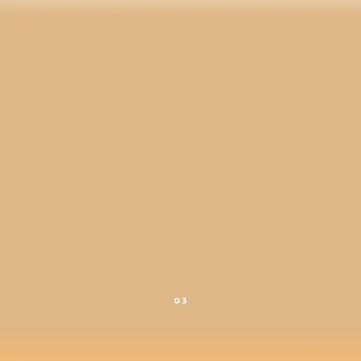 Vegan Cream Concealer in color 03 Medium with yellow undertones