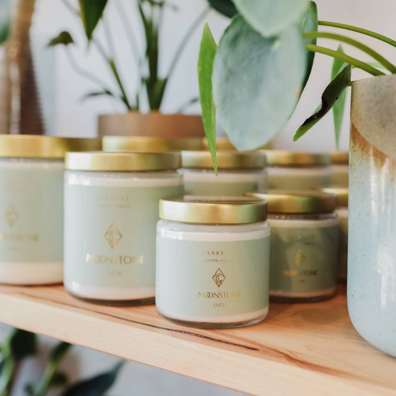 a wooden shelf topped with candle jars filled and plants