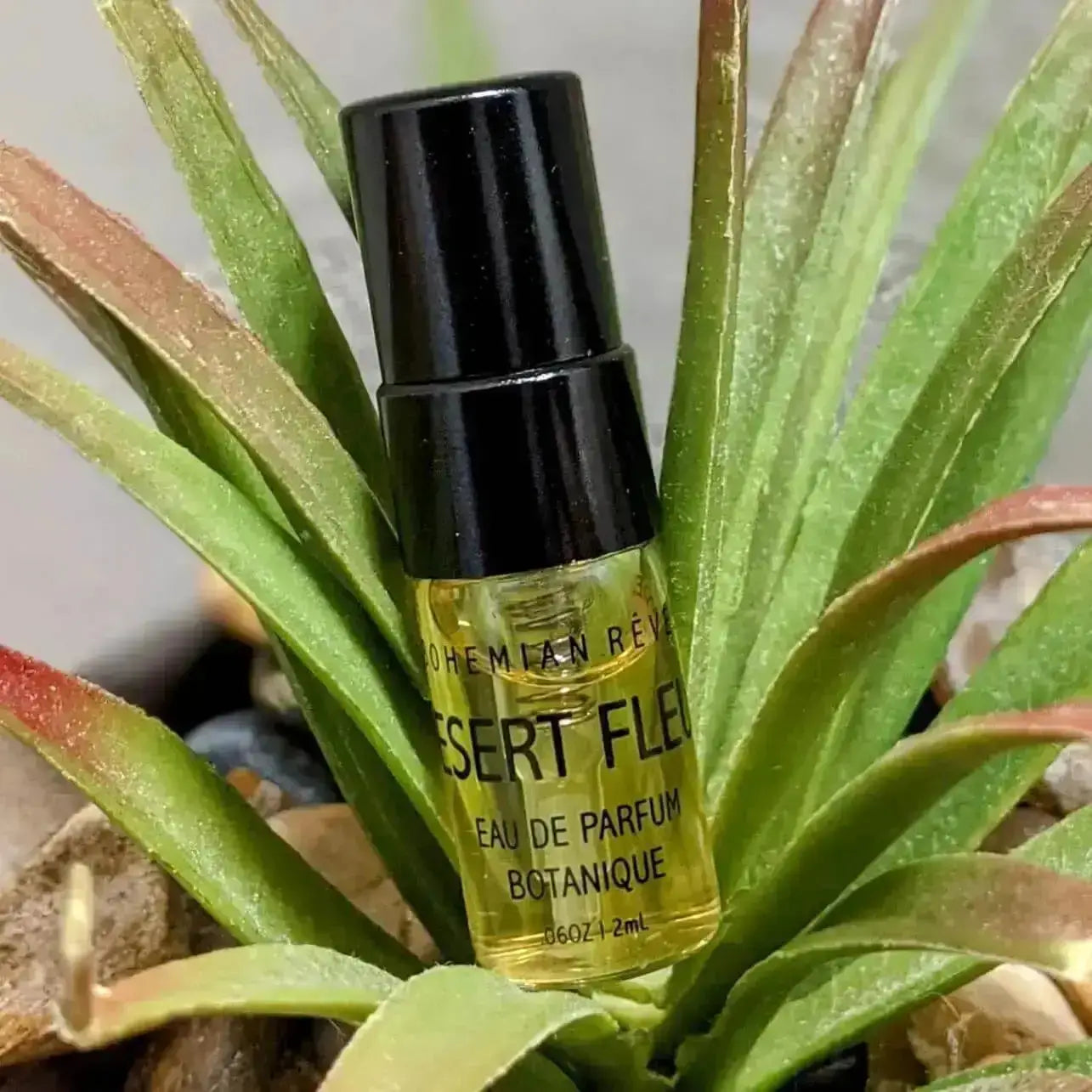 Bohemian Rêves Perfume Desert Fleur