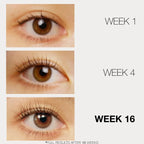 LASHFOO  Eyelash Serum  Before and After