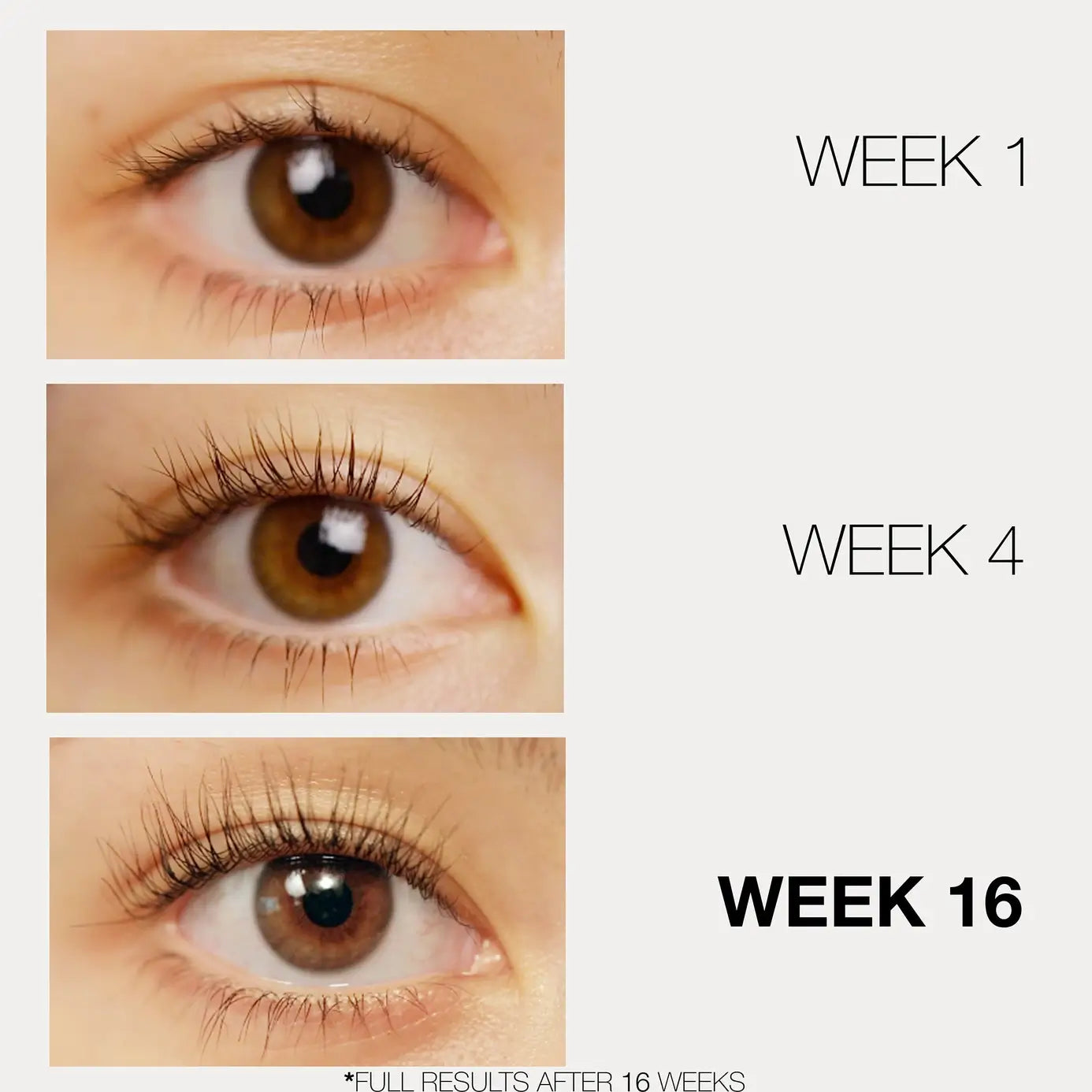 LASHFOOD The Discovery System 4 Piece Minis Set for Lashes + Brows - Eyelash Serum  Before and After