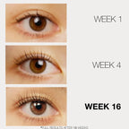 Lashfood The Discovery System 4 Piece Minis Set for Lashes and Brows - Eyelash Serum Before and After