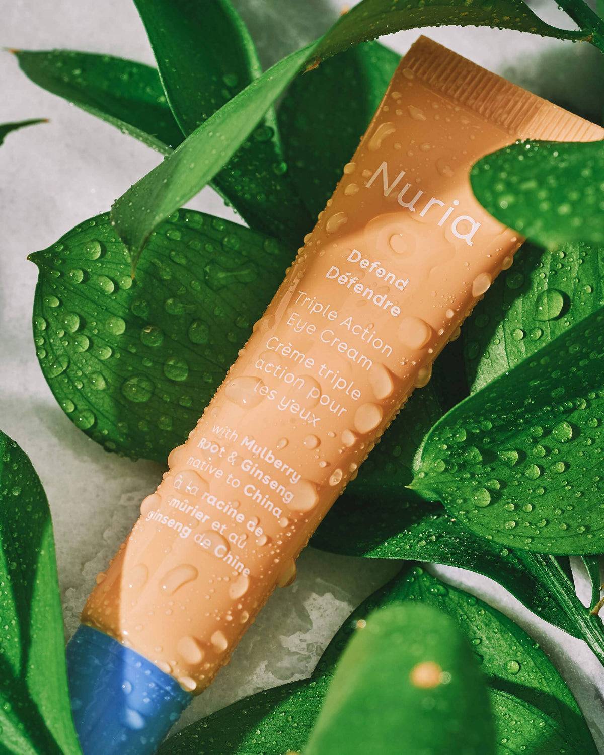 Nuria Eye Cream tube surrounded by fresh green leaves with water droplets, highlighting natural ingredients like Mulberry and Ginseng.