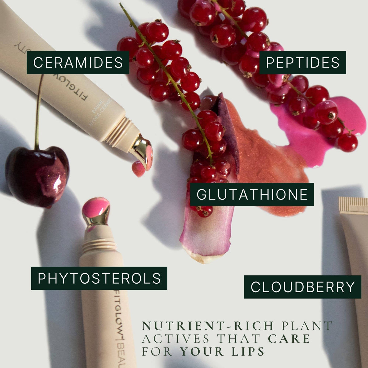 Fitglow Beauty | Ceramide Hydra-Balm Peptide Lip Serum in 'Pinot' Limited Edition Red Wine