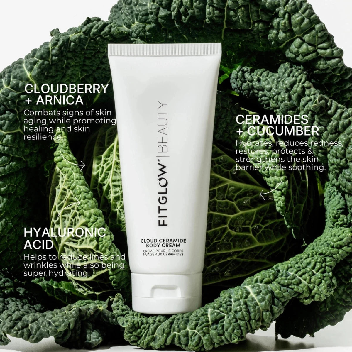 Fitglow Beauty | Cloud Ceramide Body Cream — Renew & Replenish by Fitglow Beauty shop Body Lotion at Elle and Willow