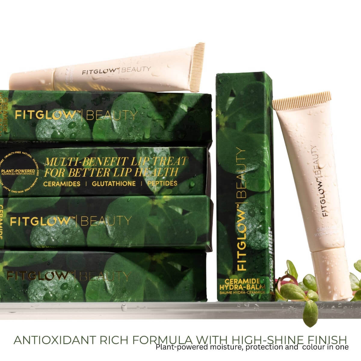 Fitglow Beauty Hydra balm lip balm packaging with green leaves on a white background noting the Antioxidant Rich Formula.