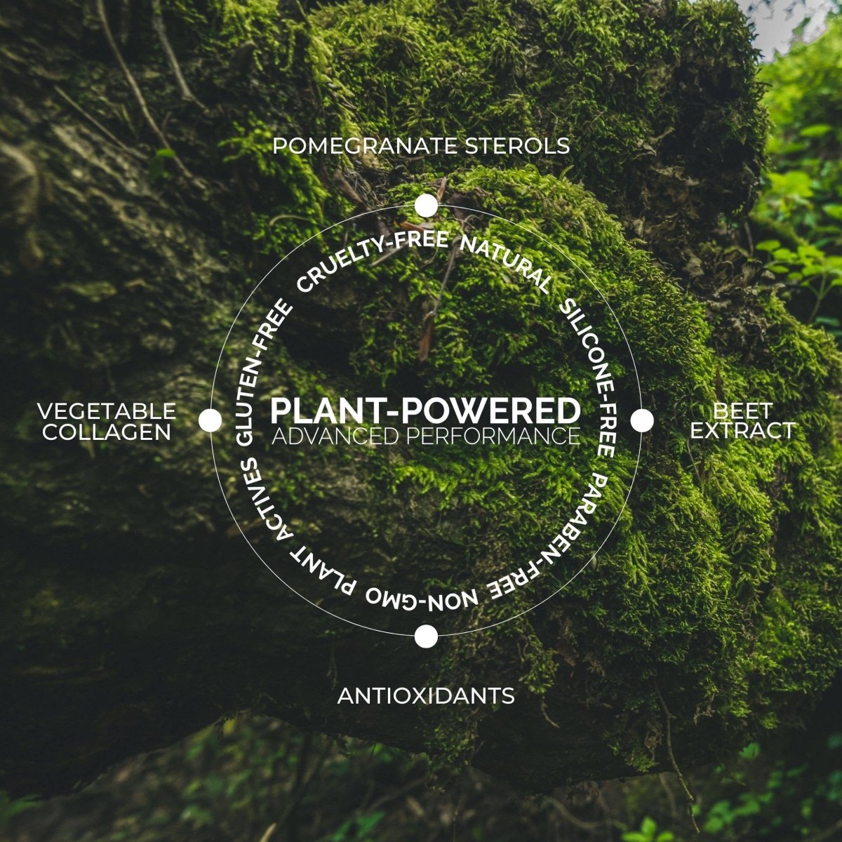 Fitglow Beauty plant powered make-up and clean skincare at Elle and Willow