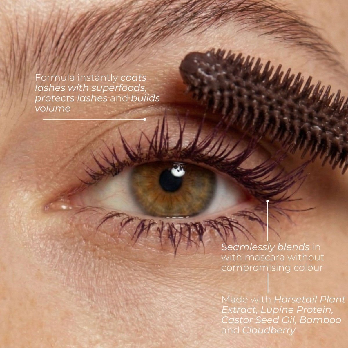 Fitglow Beauty | Plum Lash Primer by Fitglow Beauty shop Eyelash Primer at Elle and Willow