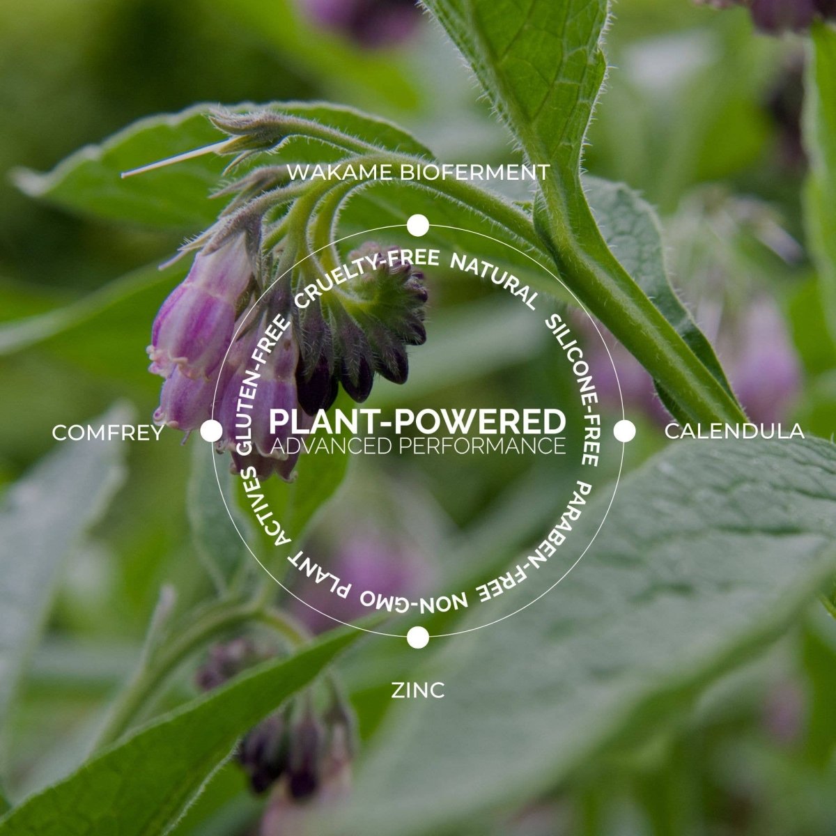 Fitglow Beauty - Redness Rescue Cream - 45ml Hydrating Face Cream at Elle and Willow