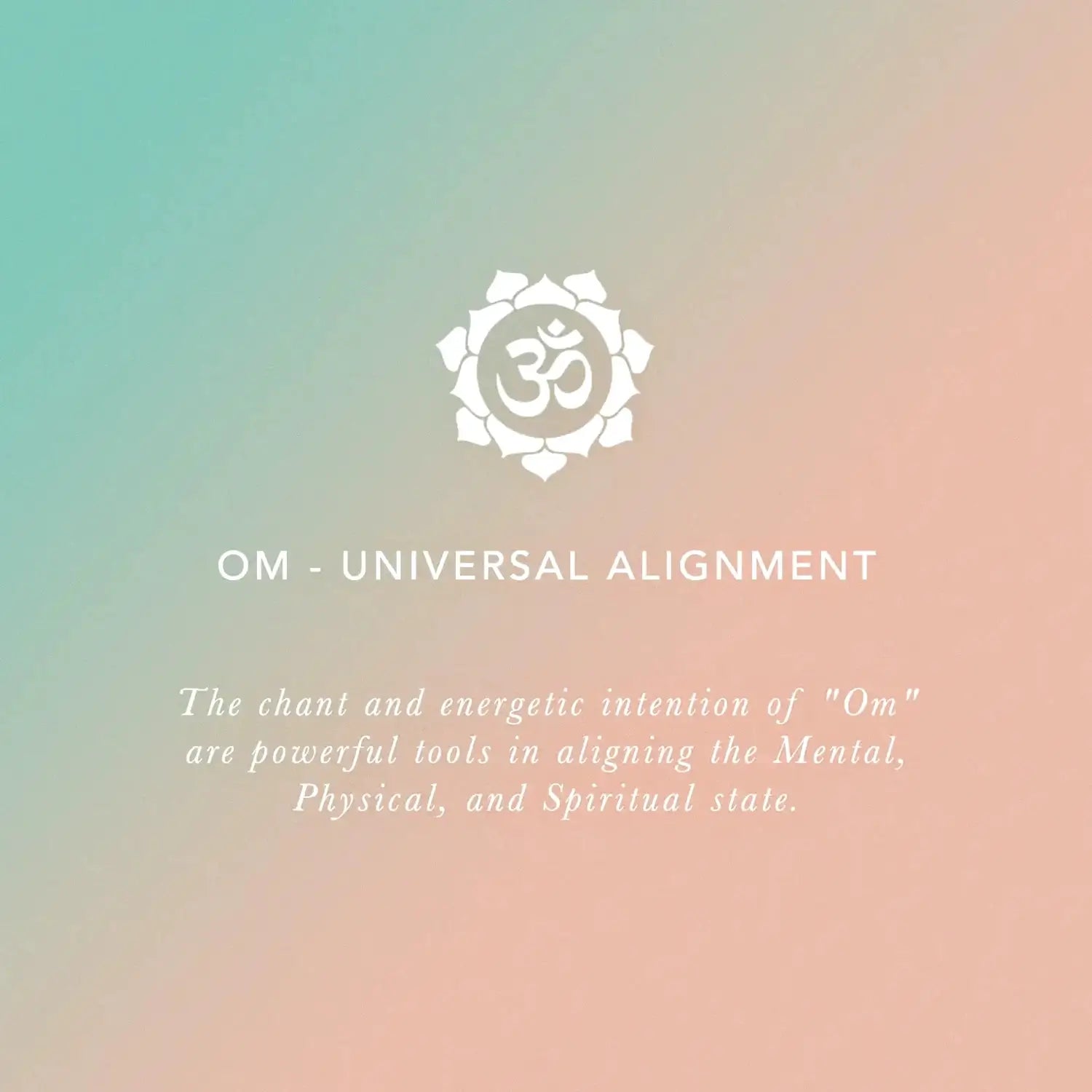 The Meaning of OM
