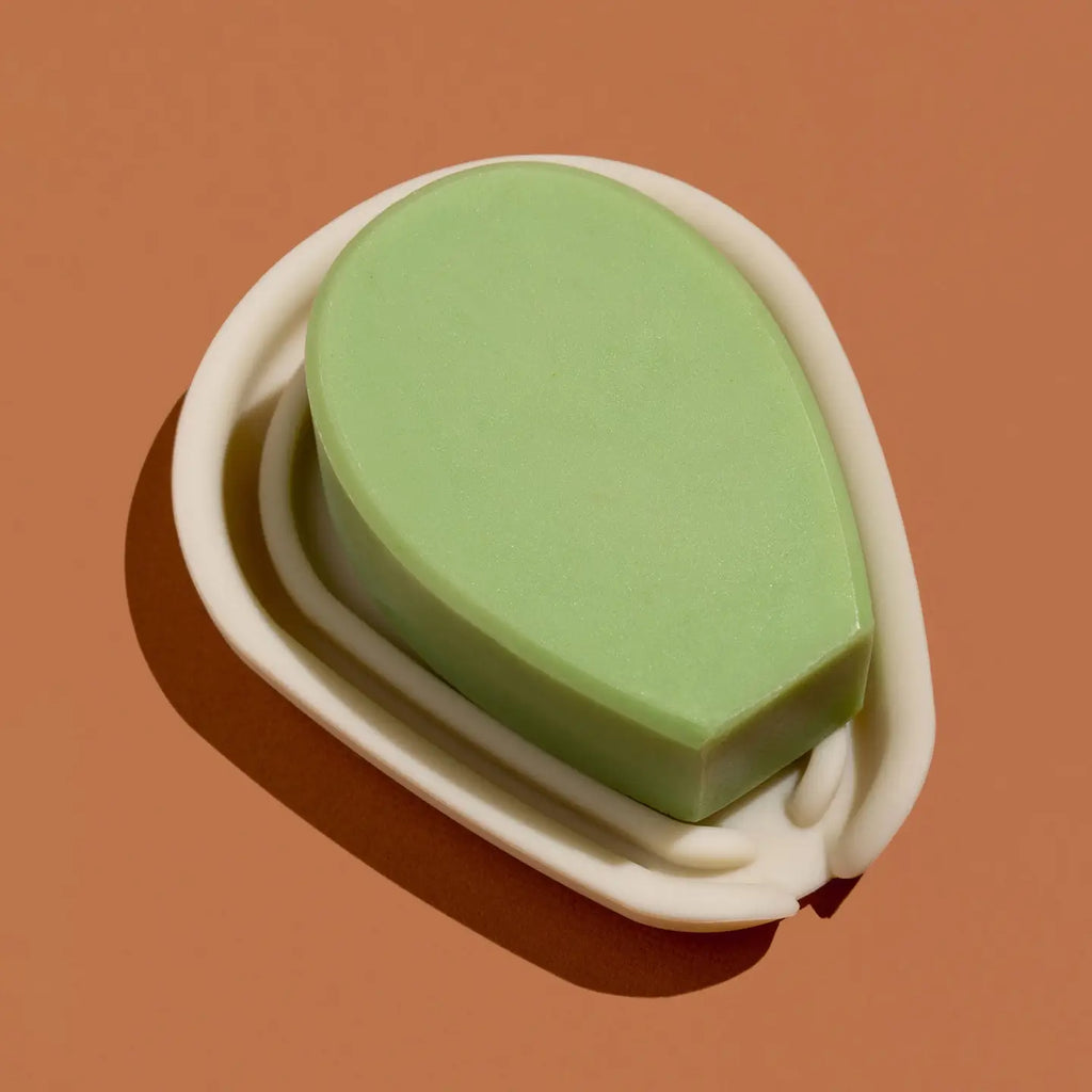 Nopalera Lemongrass Soap and silicone cactus soap dish 