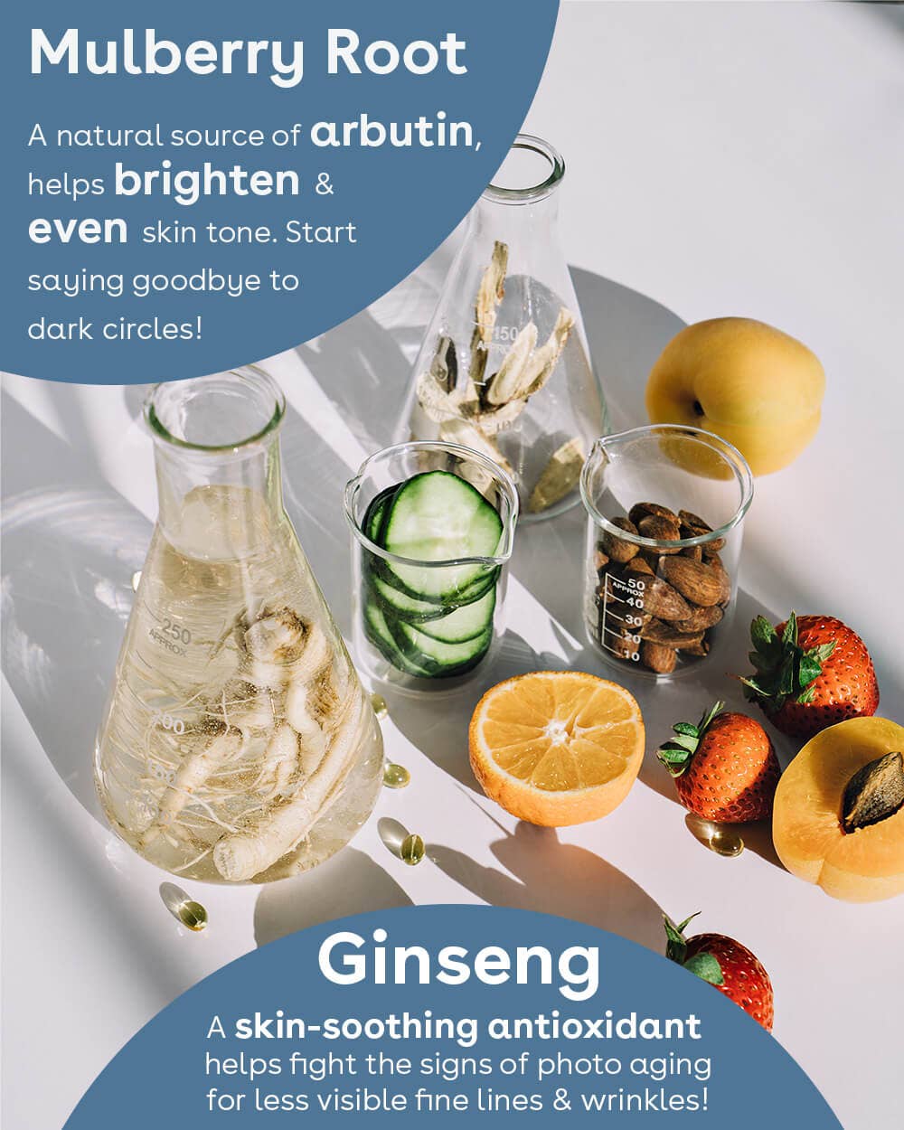 Mulberry Root and Ginseng ingredients with fruits and text emphasizing their brightening and anti-aging properties.