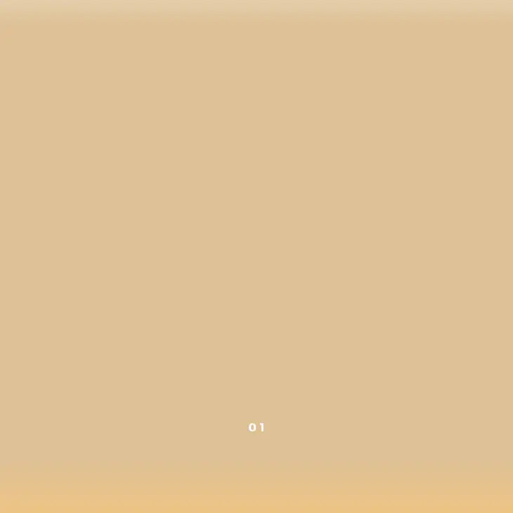 Vegan cream concealer in color 01 Light Beige| River Organics