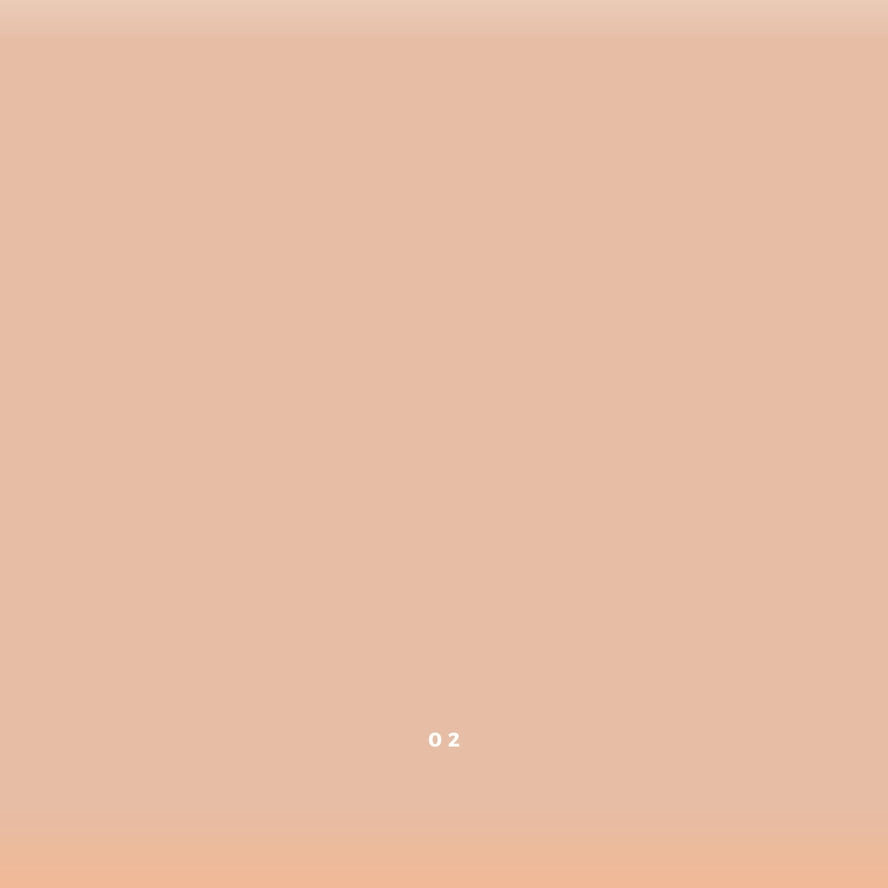 Vegan cream concealer in 02 light with pink undertones